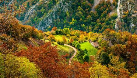 Imagen The 10 best things to see and do in the Redes Natural Park