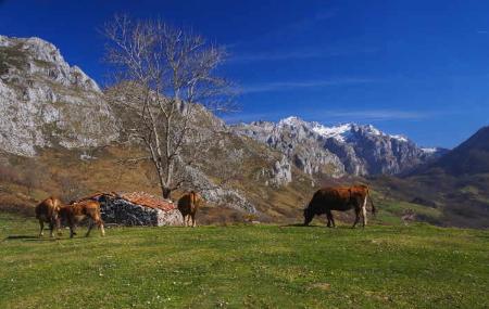 Angón Valley. Amieva