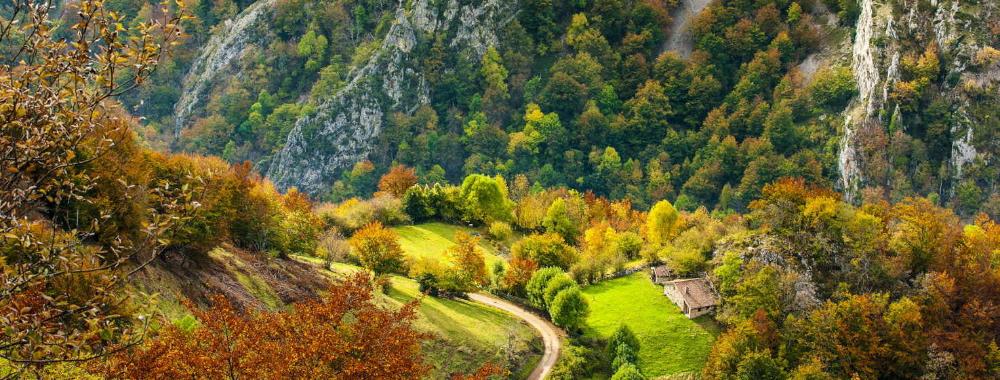 Imagen Redes Natural Park