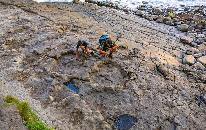 Yacimientos de Icnitas Yacimientos de Icnitas