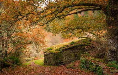 La Seimeira. Santa Eulalia de Oscos