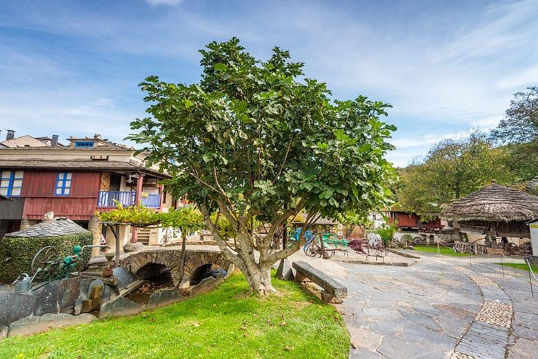 Image of the Ethnographic Museum of Grandas de Salime 