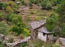 View of the Mazo de Mon with traditional buildings in a clearing in the forest.