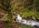 Wasserfall im Fluss Agüeira zwischen Bäumen und üppiger Vegetation, A Seimeira Route.
