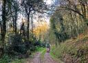 Hikers walking along a forest path covered with leaves in autumn.