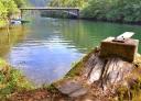 Recreational area with jetty and bridge over the river Navia, surrounded by vegetation.