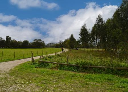 Acantilados de Pimiango