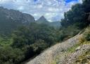 Cobbled path through vegetation in Picos de Europa