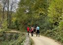 Group of hikers advancing along a forest path.