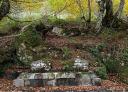Stone fountain at the edge of the path between beech trees