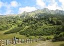 The green meadow of Brañagallones surrounded by forest and peaks.