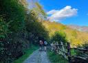 Couple walking along a path with wooden fencing