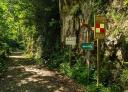 Beginning of the Senda del Oso with signs and shaded forest road