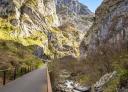 Asphalted path of the Senda del Oso along the river in rocky gorge