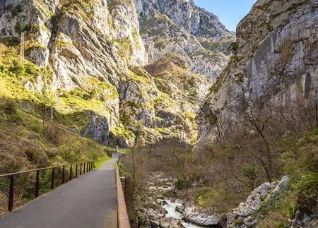 Bear Path (Caranga-Cueva Huerta)