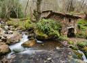 Traditional mill next to stream in leafy forest