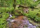 Moss-covered Corroriu mill by a stream