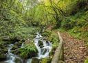 Path next to stream with wooden footbridge on the Water Route