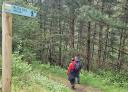 Hikers next to a sign for the Water Route among the pines.