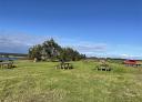 Recreation area with picnic tables by the sea and trees