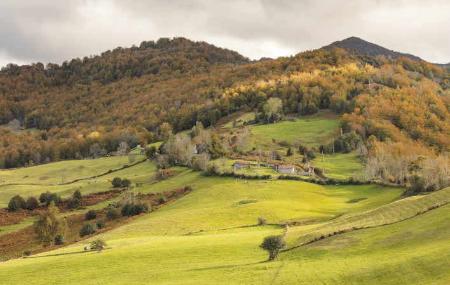 Les Bedules - Parque Natural de Ponga