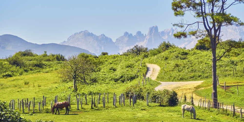 Vista del Urriellu desde inmediaciones de Llanes, con un prado cercado por estacas de madera en el que pastan un caballo blanco y otro marrón; a los lados destacan varios árboles, junto a un camino sin pavimentar que atraviesa el paisaje verde, mientras al fondo se alzan las montañas que rodean el Urriellu bajo un cielo difuminado.