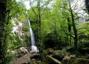 Blick auf den von Felsen und Vegetation umgebenen Wasserfall.