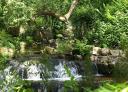 Blick auf den Fluss mit einem Wasserfall und üppiger Vegetation.