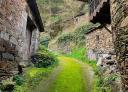View of rural alley with old stone houses and vegetation on both sides.
