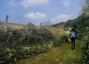 A person walking along a grassy path with vegetation and blue sky.
