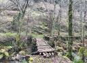 Small rustic wooden footbridge over the river Bustelín in a forested environment.