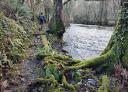 Hiker with his back to the river Ibias walking along a path next to the river