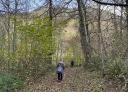 Two hikers on a path covered with dry leaves in a dense forest.