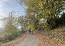 Group of hikers walking along a paved path through the trees.