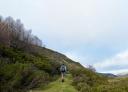 Hiker on a green path along an overgrown slope
