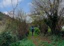 Un senderista ascendiendo por un sendero verde, rodeado de vegetación y arbustos