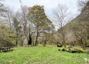 Recreation area with picnic tables among trees
