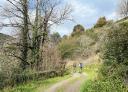 A couple of hikers on a bend in the path, surrounded by vegetation.