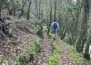 Hiker next to a leaf-covered canal on a forest trail