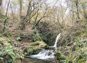 Small waterfall with water cascading over rocks and green vegetation