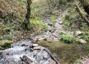 River with small waterfalls, rocks and vegetation