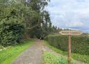 Path with a wooden sign indicating the Coastal Path and a hiker in the background.