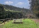 Prominent rest area on the route, with bench and wooden table.