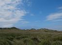 Dunes with vegetation under a wide sky