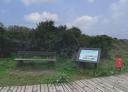 Information panel next to a wooden walkway and a wooden bench with signposting.