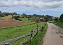 Asphalt road through green fields bordered by wooden fence