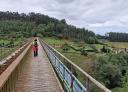 A hiker walks on a long wooden bridge over a wooded valley.