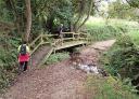 Wooded path with a small wooden bridge over a stream, over which two hikers climb uphill