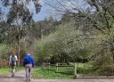 Hikers starting a section of the trail, walking along a green and wooded path.