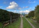 two hikers walk along a path surrounded by bushes with a view of a blue sky with clouds.